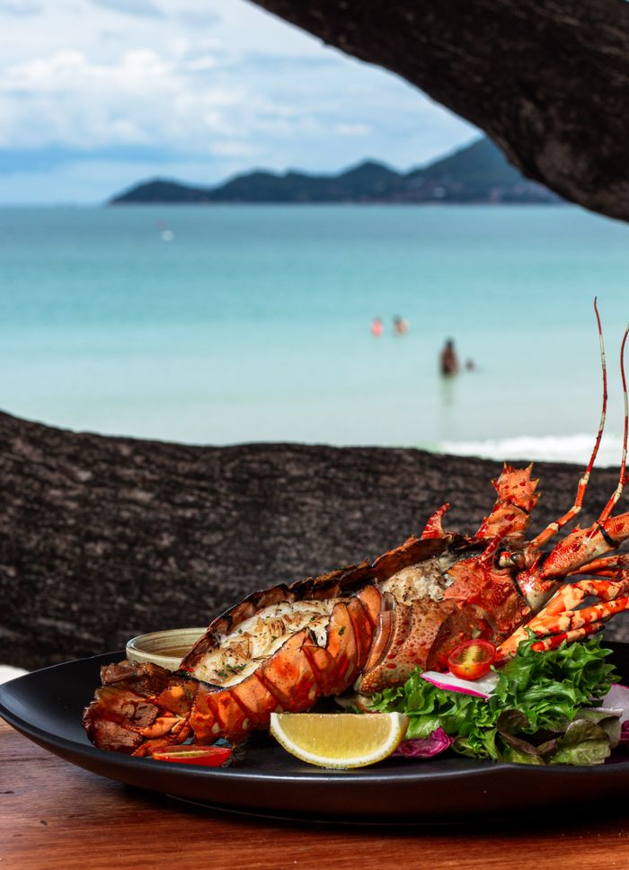 Delicious grilled lobster served with lemon on a beach setting, capturing the essence of a summer vacation meal.