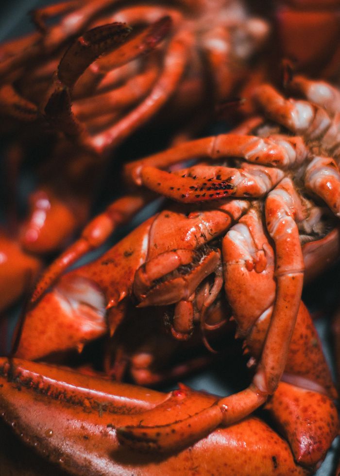Deliciously cooked lobster on plate with focus on texture and color.